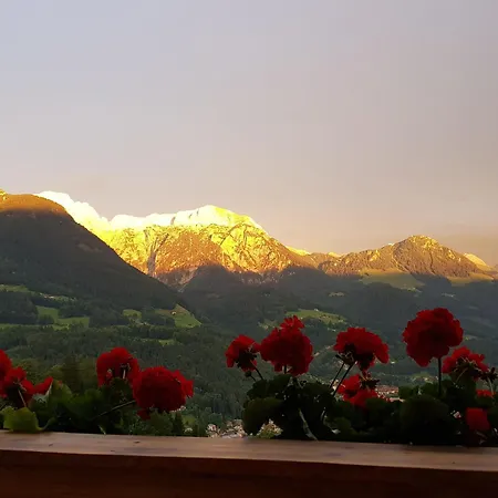 Kaelberstein Stueberl